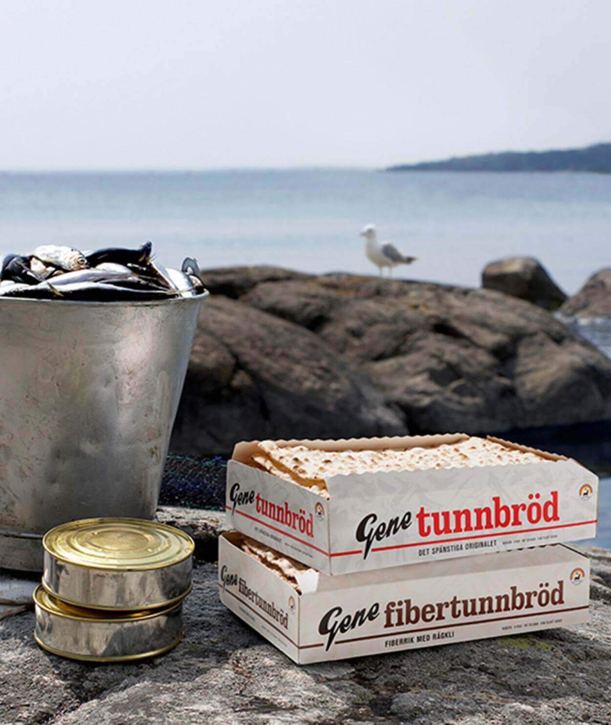 Säsong för surströmming Polarbröd